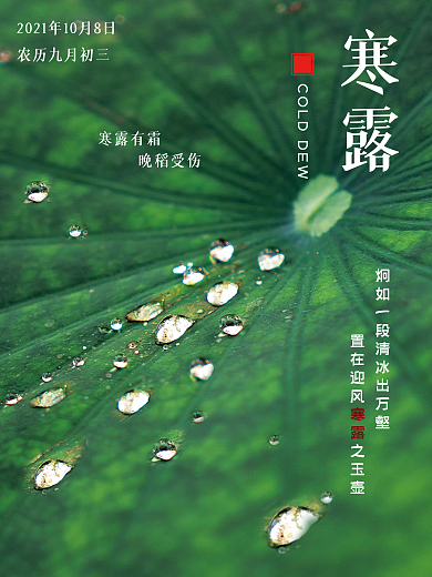 中国传统二十四节气之寒露