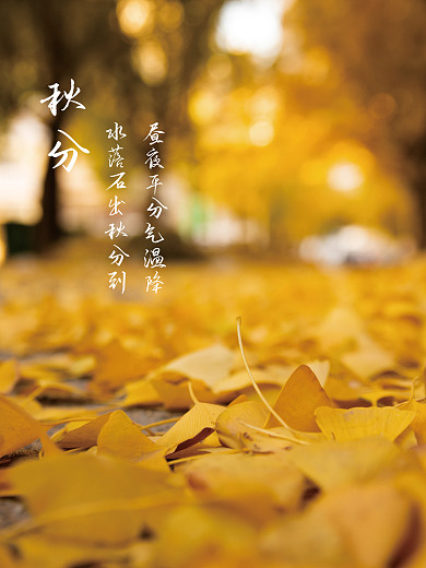 秋分节气气氛海报