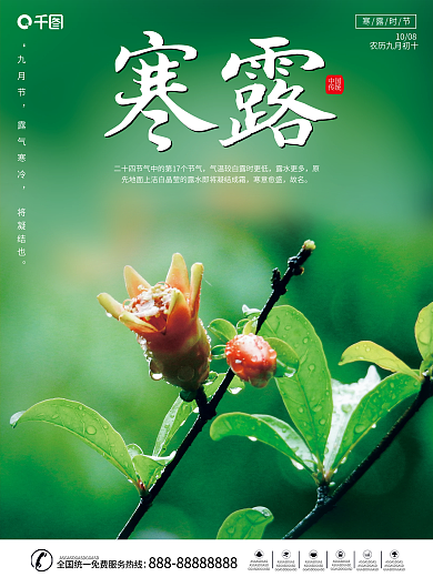 简约创意寒露摄影图海报