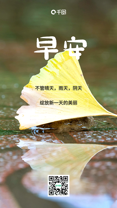 雨后简约早安日签手机海报