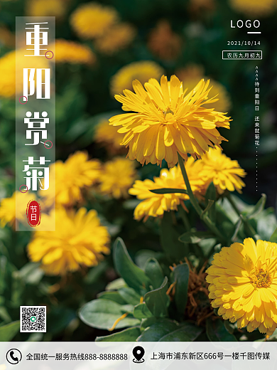创意合成九九重阳节赏菊风景摄影图海报