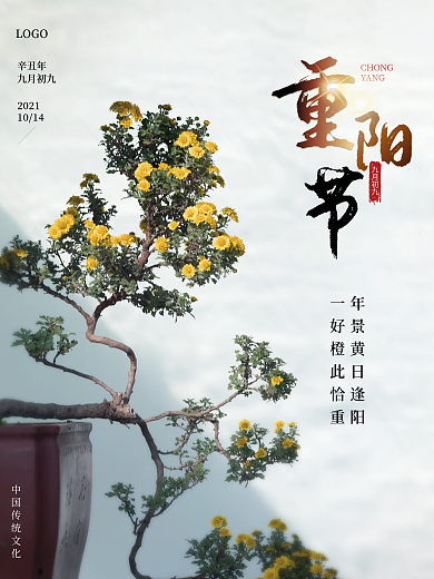 重阳节赏菊菊花地产中式海报