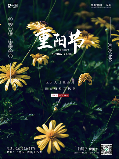 创意合成九九重阳节采菊摄影图海报
