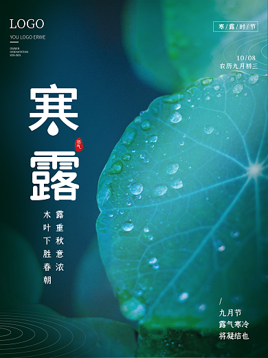 创意简约二十四节气寒露节日宣传摄影图海报