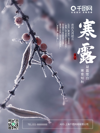 简约二十四节气寒露海报