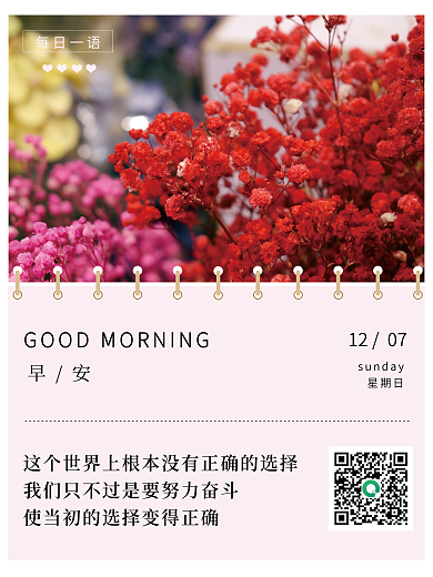 花卉摄影日历风早安海报朋友圈心语心情日签