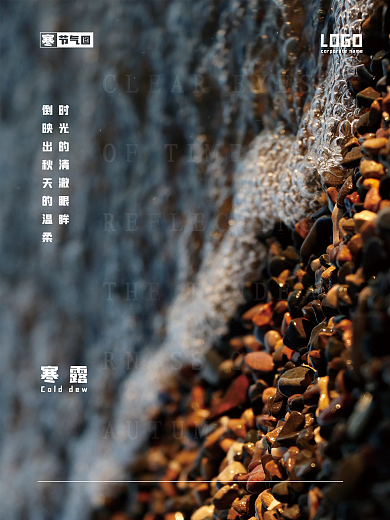 寒露二十四节气图简约创意海报