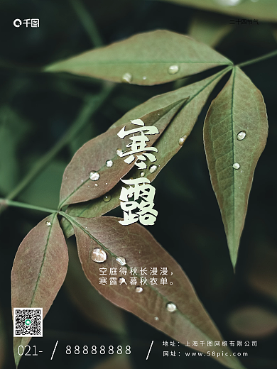 简约创意寒露摄影图海报