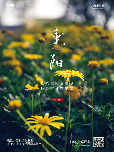 创意合成九九重阳节采菊摄影图海报