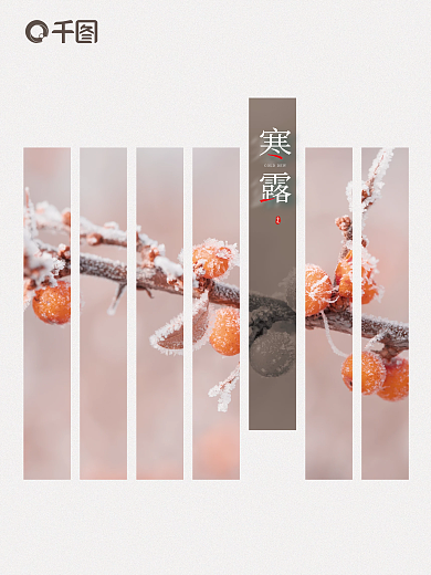 节气寒露广告海报