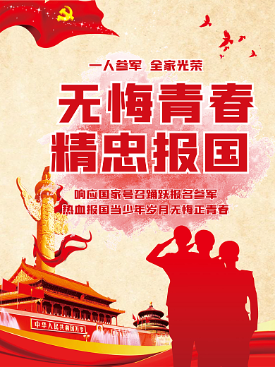 时尚简约新兵入伍欢迎会党建宣传海报