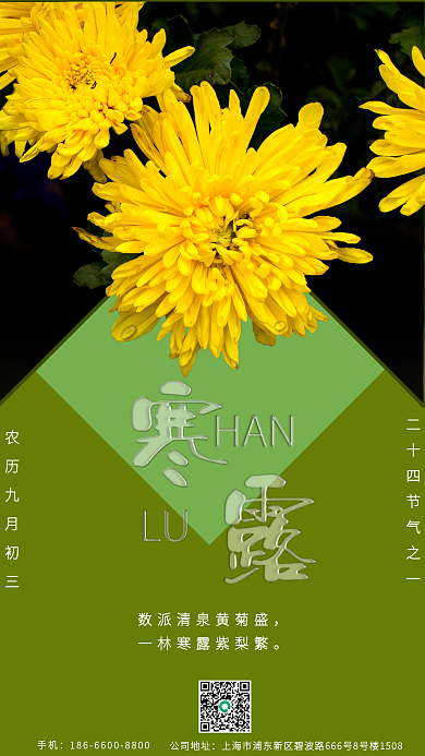 寒露手机海报中国二十四节气宣传图摄影图