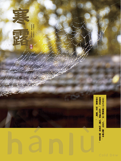 秋天秋季二十四传统节日节气寒露海报