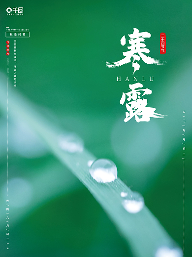 创意简约24节气寒露露水雨露绿叶清晨海报
