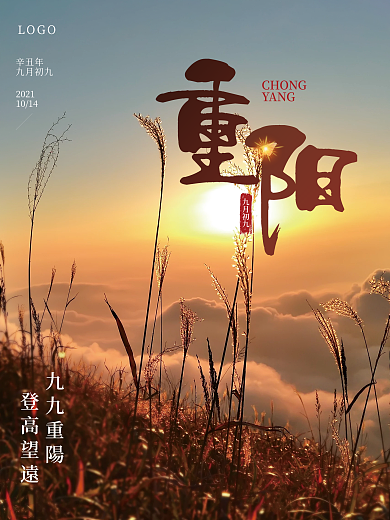 重阳节登高望远九九重阳赏菊海报