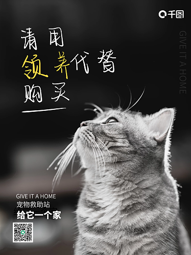 黑色简约宠物公益海报