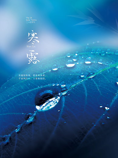 简约留白房地产寒露节气节日海报