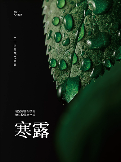 二十四节气寒露小清新海报