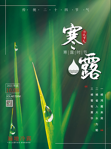清新传统24节气寒露阳光绿色植物黄叶海报