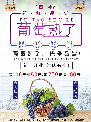 水果之葡萄海报