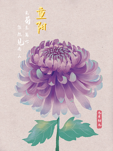 纯原创中国风菊花插画海报