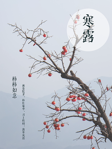 柿柿如意寒露海报
