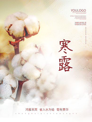 简约创意寒露摄影海报秋季节气棉花背景素材