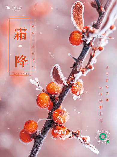 创意简约霜降摄影图节日海报