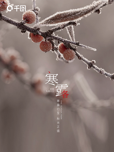 节气寒露广告海报