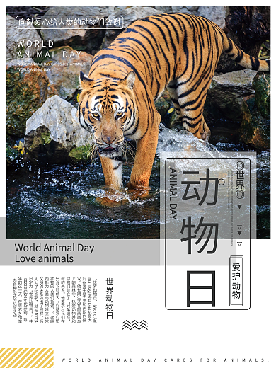 世界动物日宣传海报保护动物海报