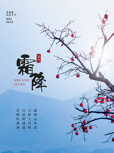 霜降二十四节气柿子结霜秋天海报