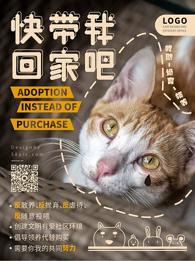 简约小清新流浪动物宠物领摄影公益海报