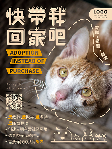 简约小清新流浪动物宠物领摄影公益海报