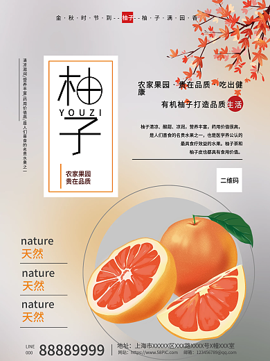柚子水果简约海报