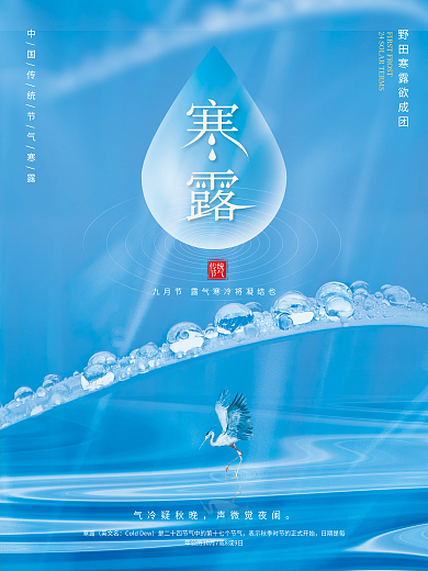 英文名传统节气简约寒露摄影海报
