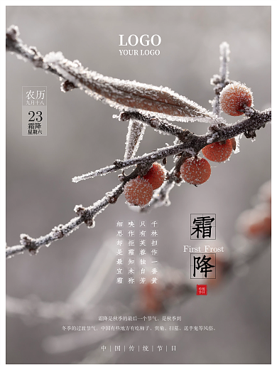 简约霜降寒露柿子结霜小雪二十四节气海报