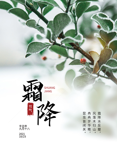 霜降二十四节气结霜结冰海报