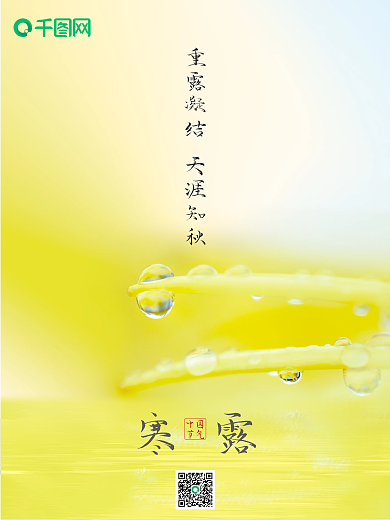 传统二十四节气寒露节日海报简约风广告留白