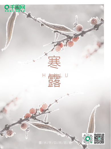 寒露海报寒霜柿子