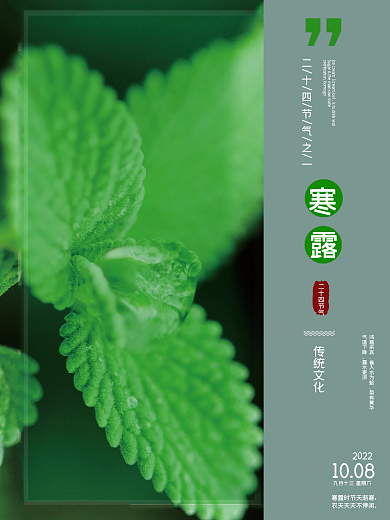 寒露节气海报国风海报二十四节气寒露海报