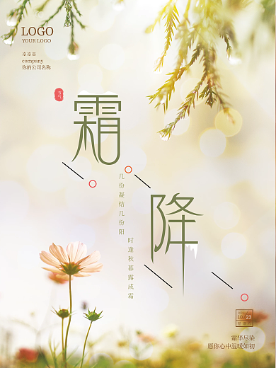 创意简约霜降摄影图节日海报1