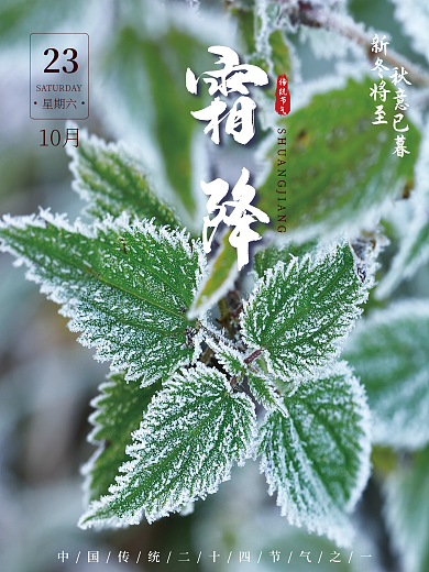 简约小清新霜降海报