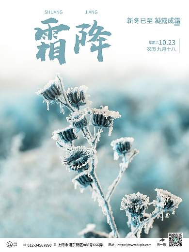 二十四节气之霜降简约海报