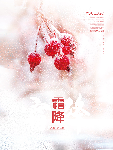 留白大气霜降节气摄影海报结冰植物背景素材