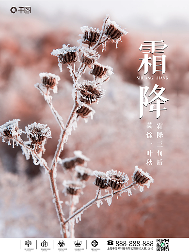 创意简约霜降摄影图节日海报