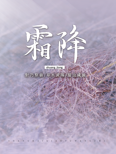 简约霜降节气摄影海报结冰植物背景素材