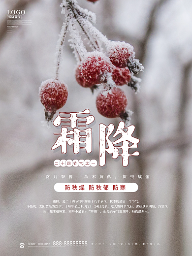 中国传统节气霜降时节宣传海报