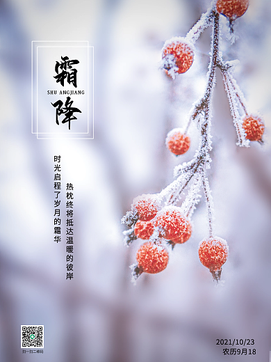 霜降中国传统二十节气宣传海报