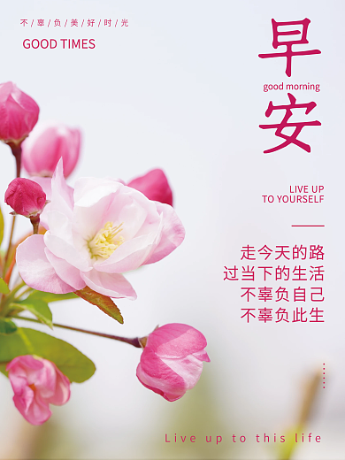 清新唯美花卉摄影图文早安海报正能量日签