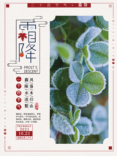 创意简约霜降摄影图节日海报